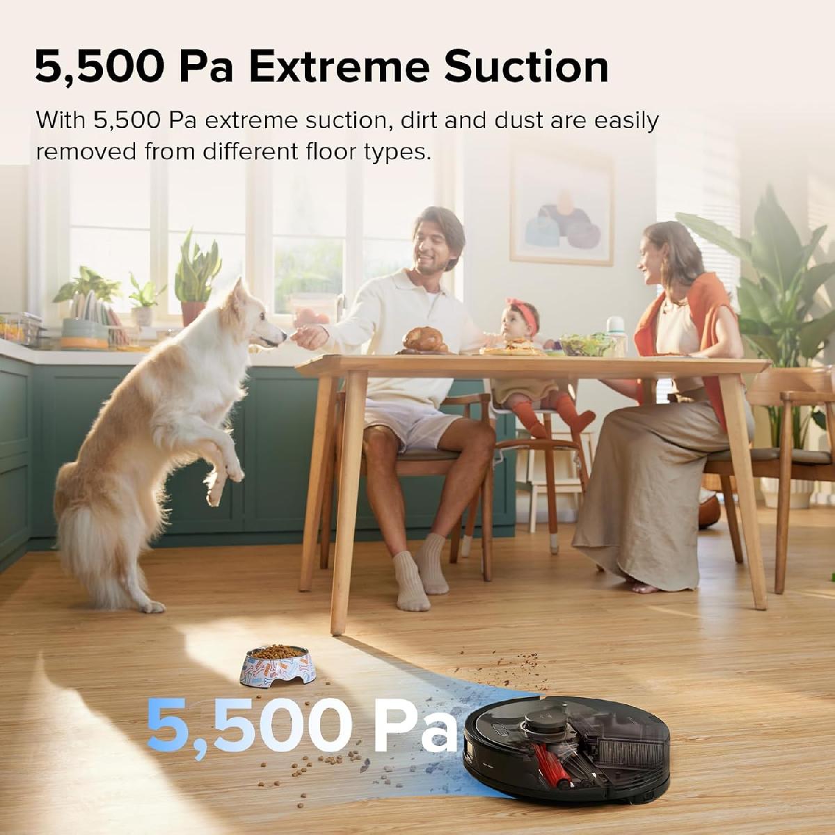 Roborock Q8 Max robot vacuum cleaner black (Q8M52-00)
