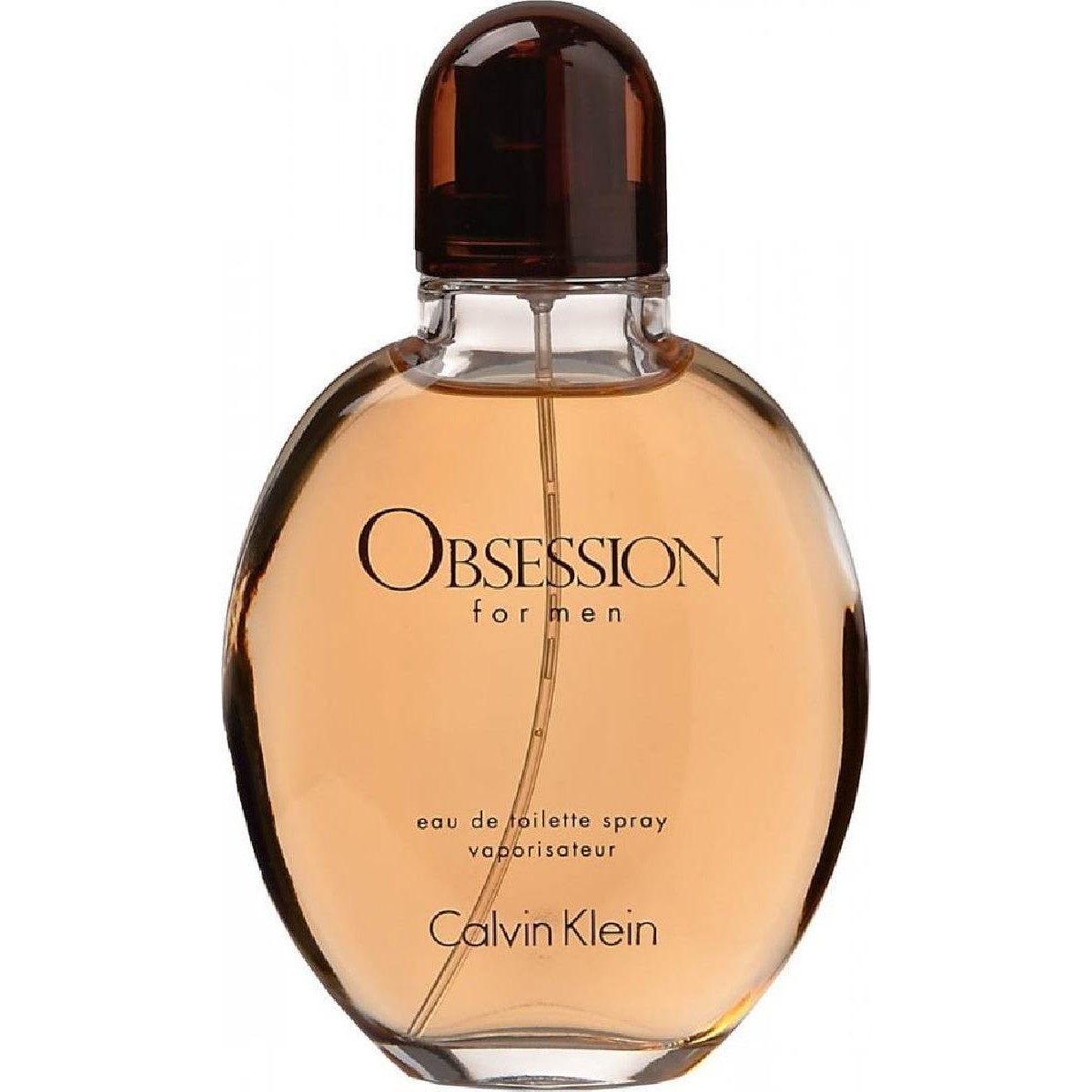 Calvin Klein Obsession Eau de Toilette 125ml