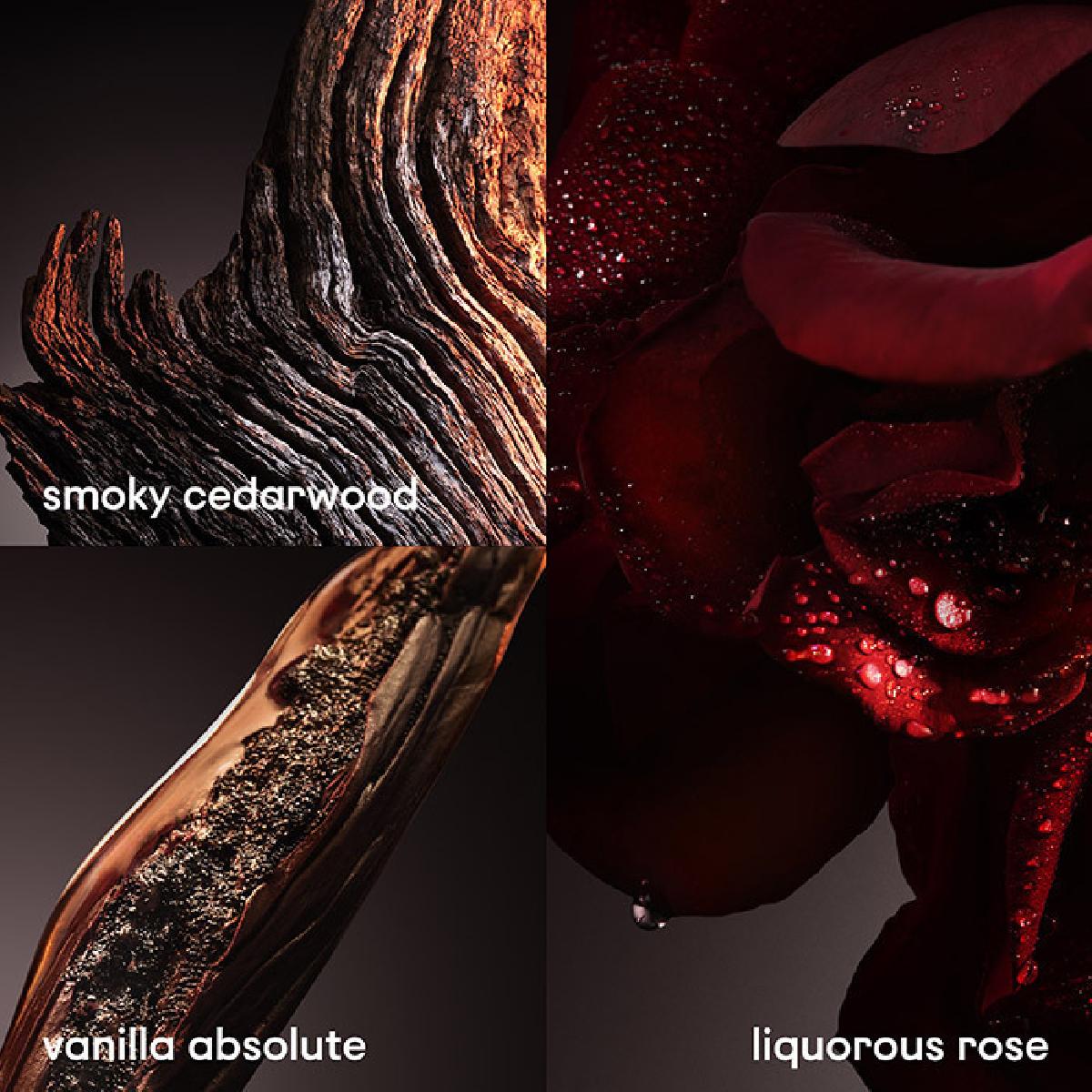 Paco Rabanne 1 Million Elixir Parfum Intense 100ml Paco Rabanne 1 Million Elixir Parfum Intense 100ml