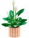 LEGO® Botanical Peace Lily (11504)