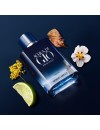 Giorgio Armani Acqua Di Gio Profondo Parfum 100ml