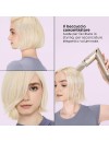 Shark HD426SLEU FlexStyle 3-in-1 Air Styler & Hair Dryer 1650 watt stone