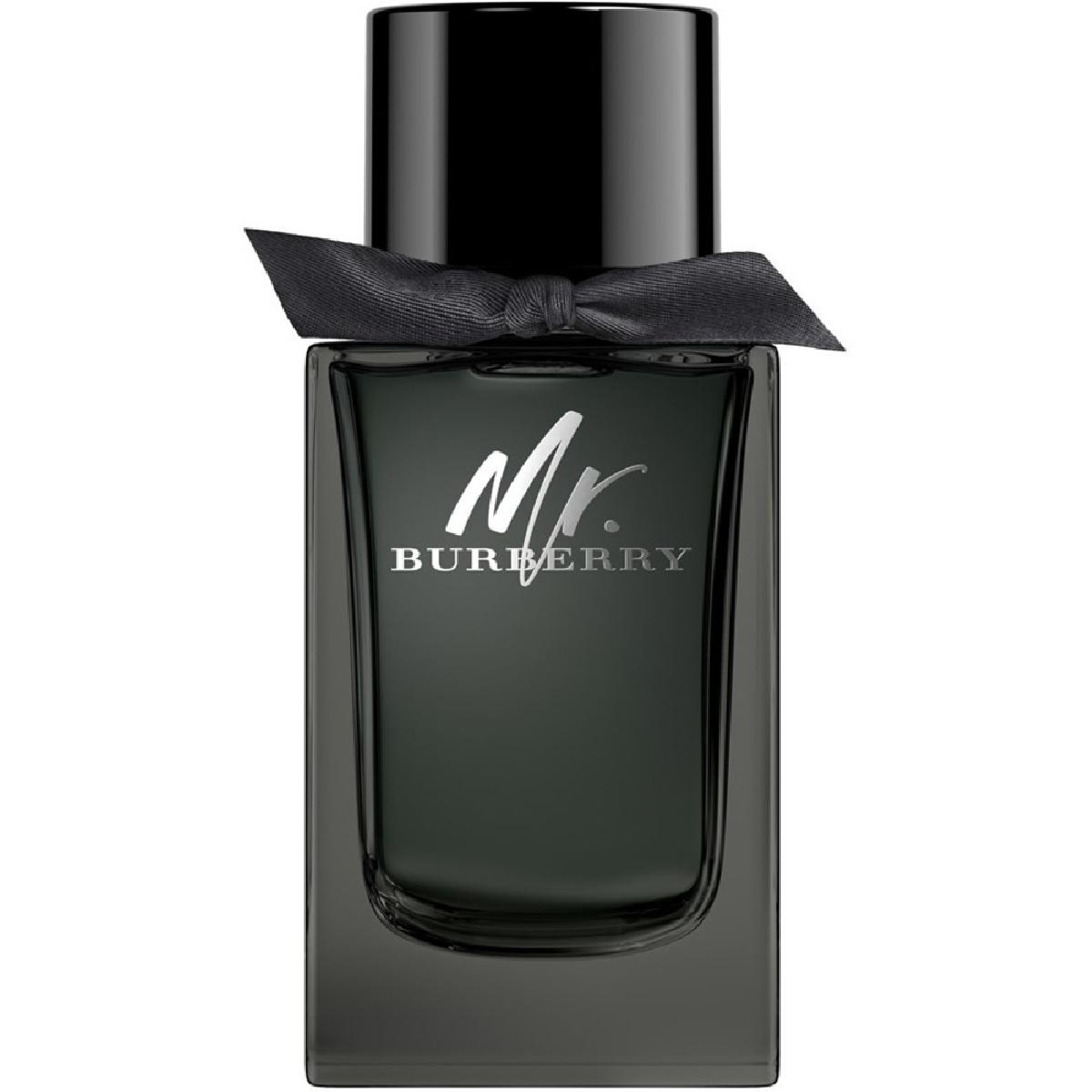 Burberry Mr. Burberry Eau de Parfum 100ml