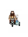 LEGO® Harry Potter Hagrid & Harry's Motorcycle Ride (76443)